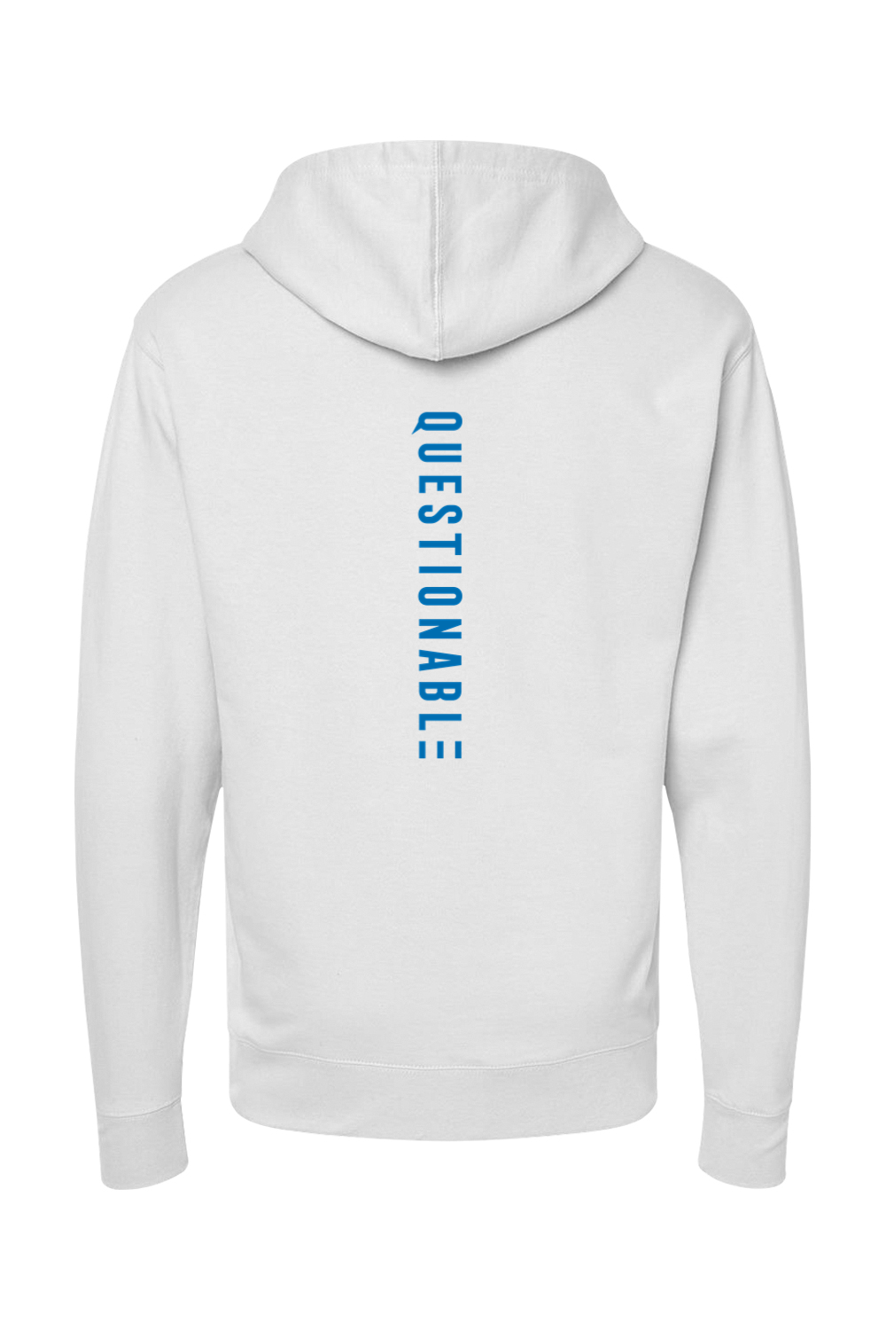 D-Mon 2023 - Lions Midweight Hoodie